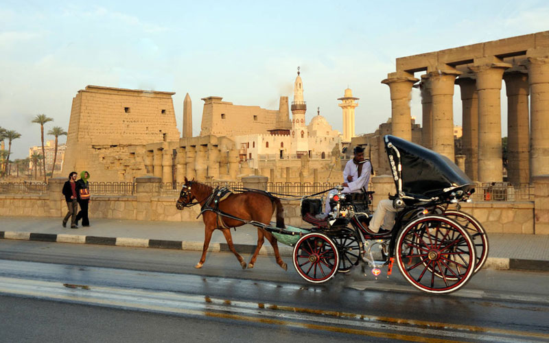 luxor city tour by horse drawn carriage gal 1 1