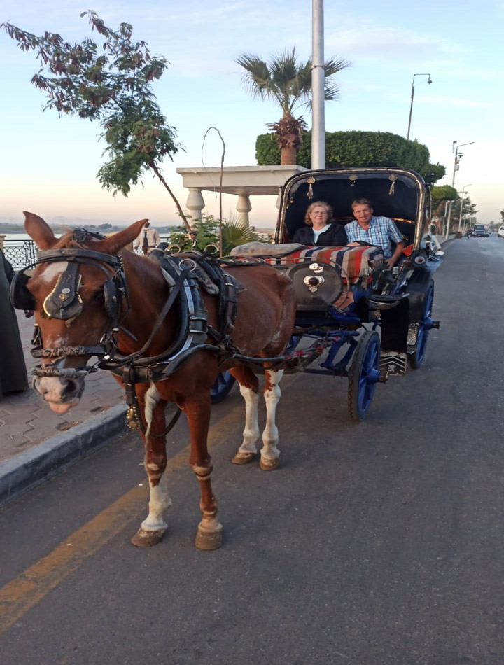 Luxor city tour by carriage