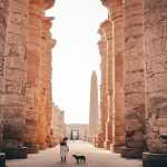 A Daily Excursion Guide Unveiling Egypt's Wonders