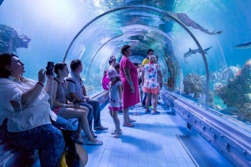 Take a Glass-Bottom Boat Tour