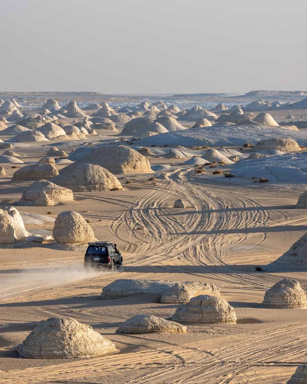 4x4 safari through the White Desert
