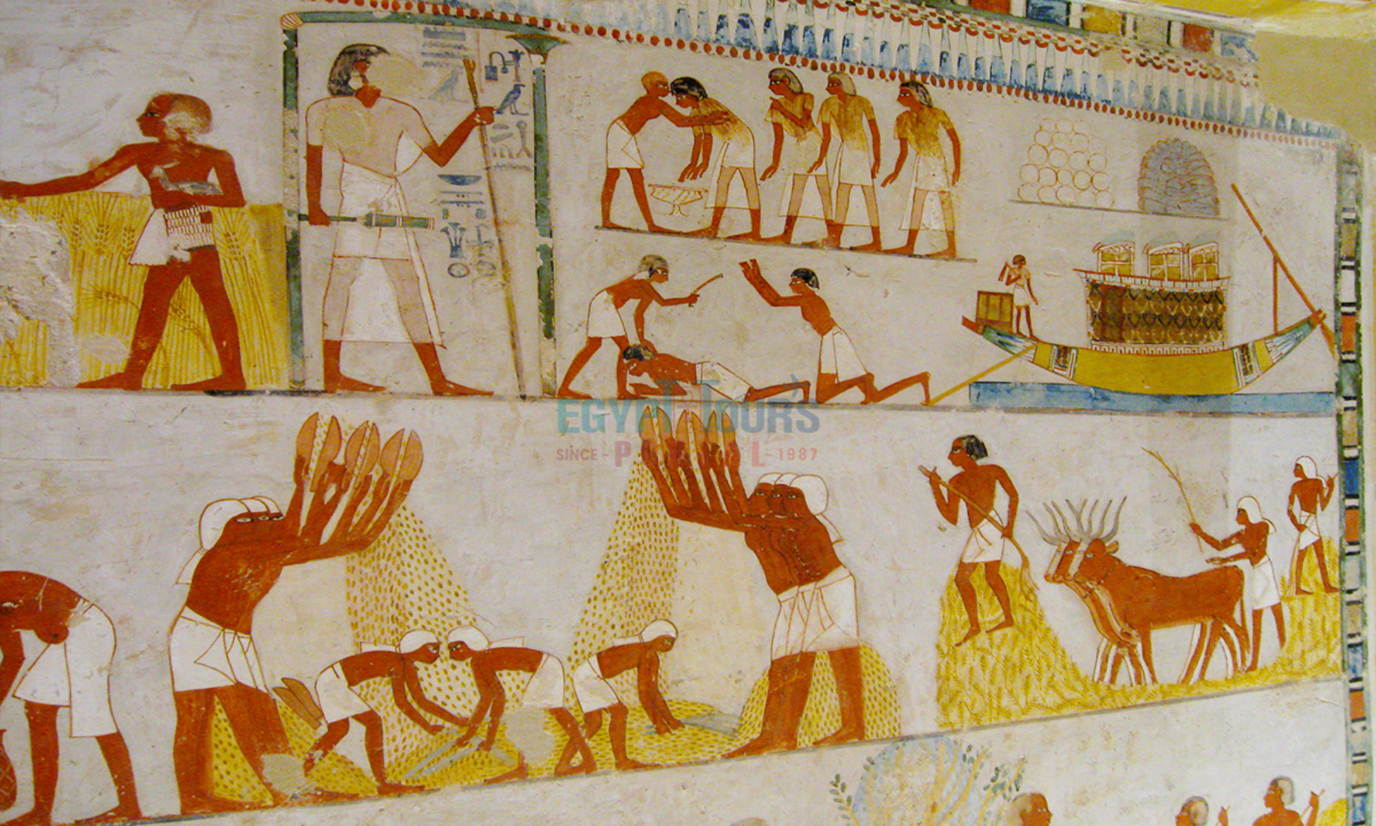 Ancient workers village at the Giza Plateau