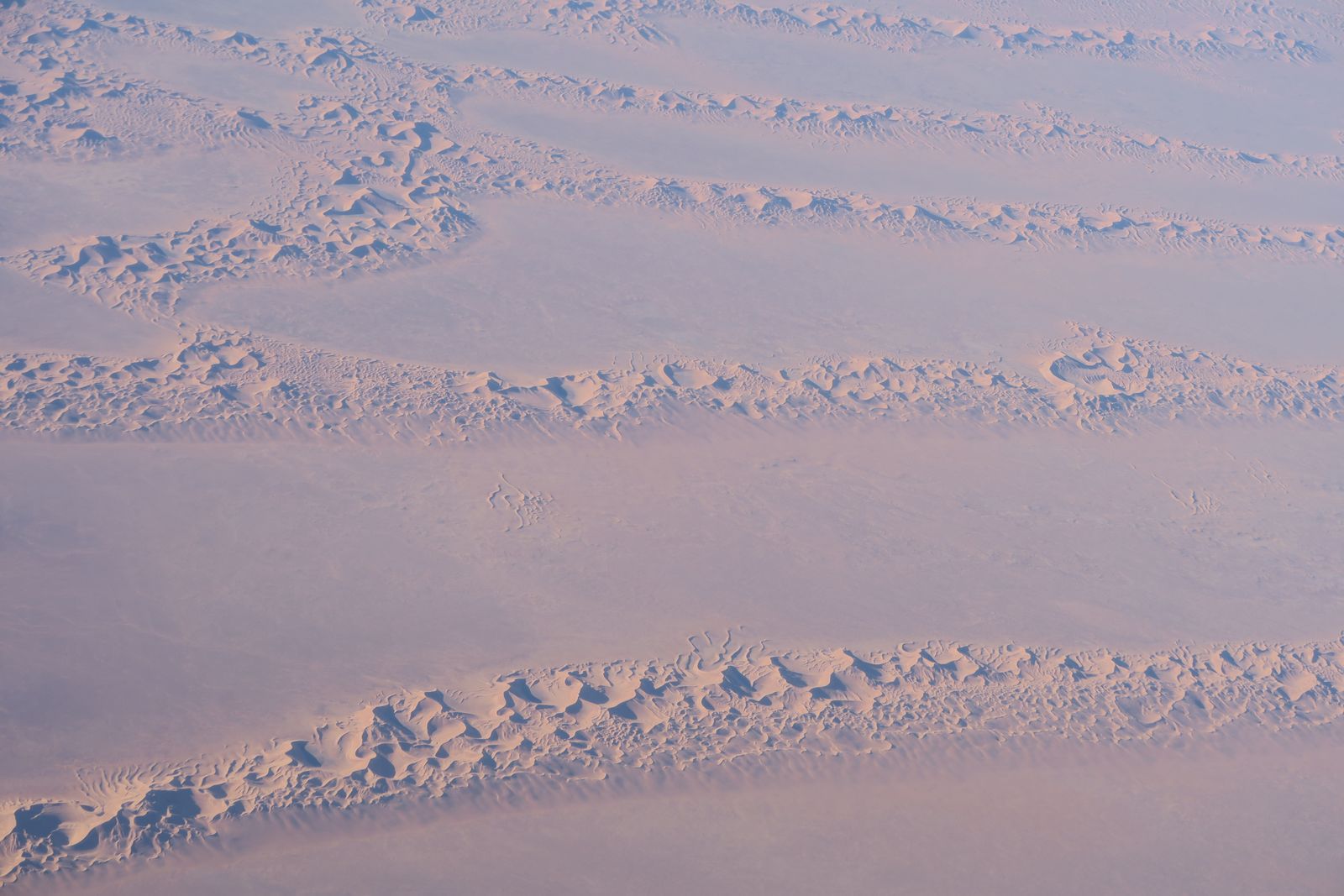 Fayoum geology and fossils student expedition