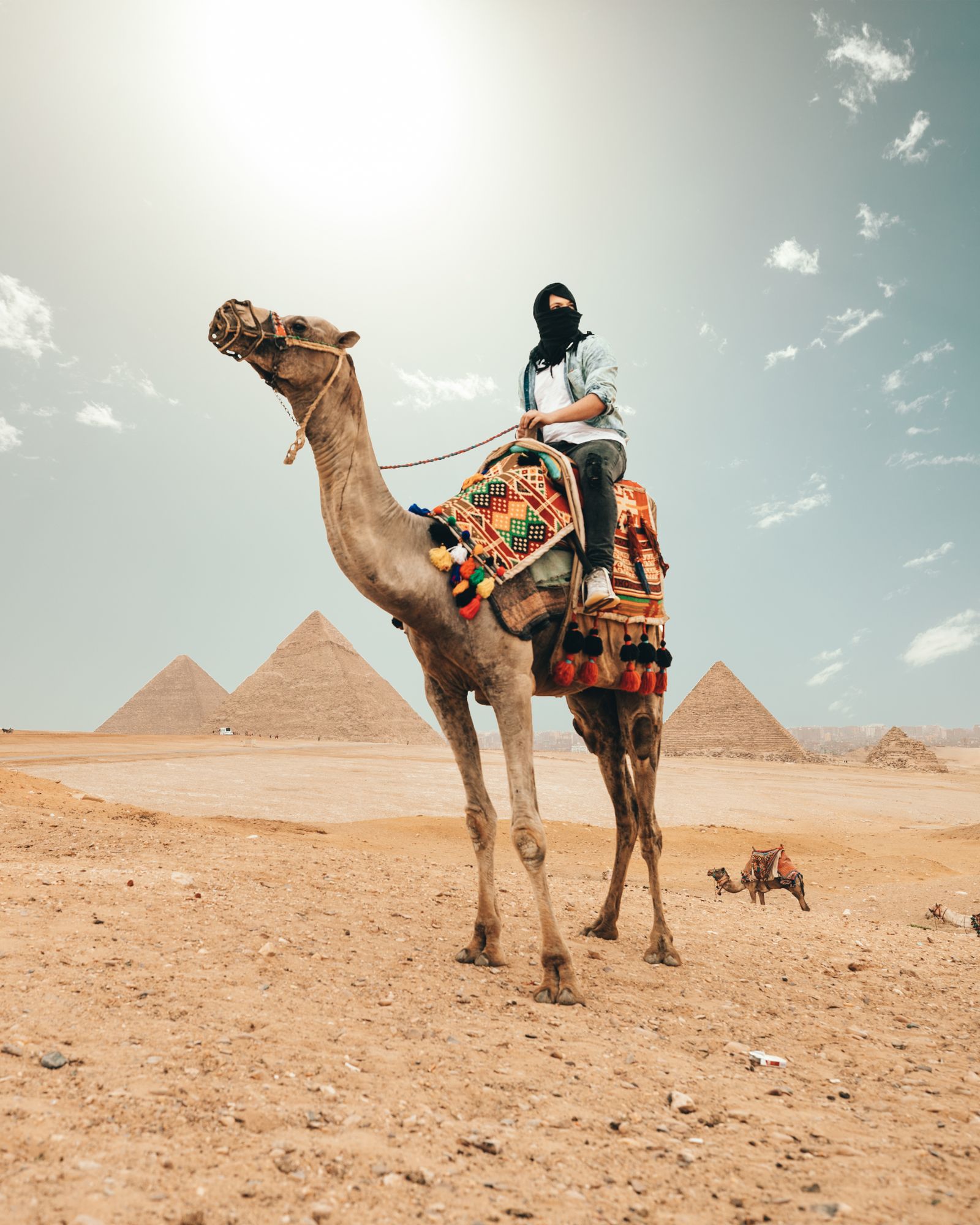 Egypt desert adventure tour
