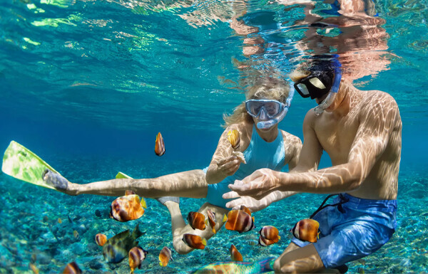 Couple snorkeling together in the Red Sea