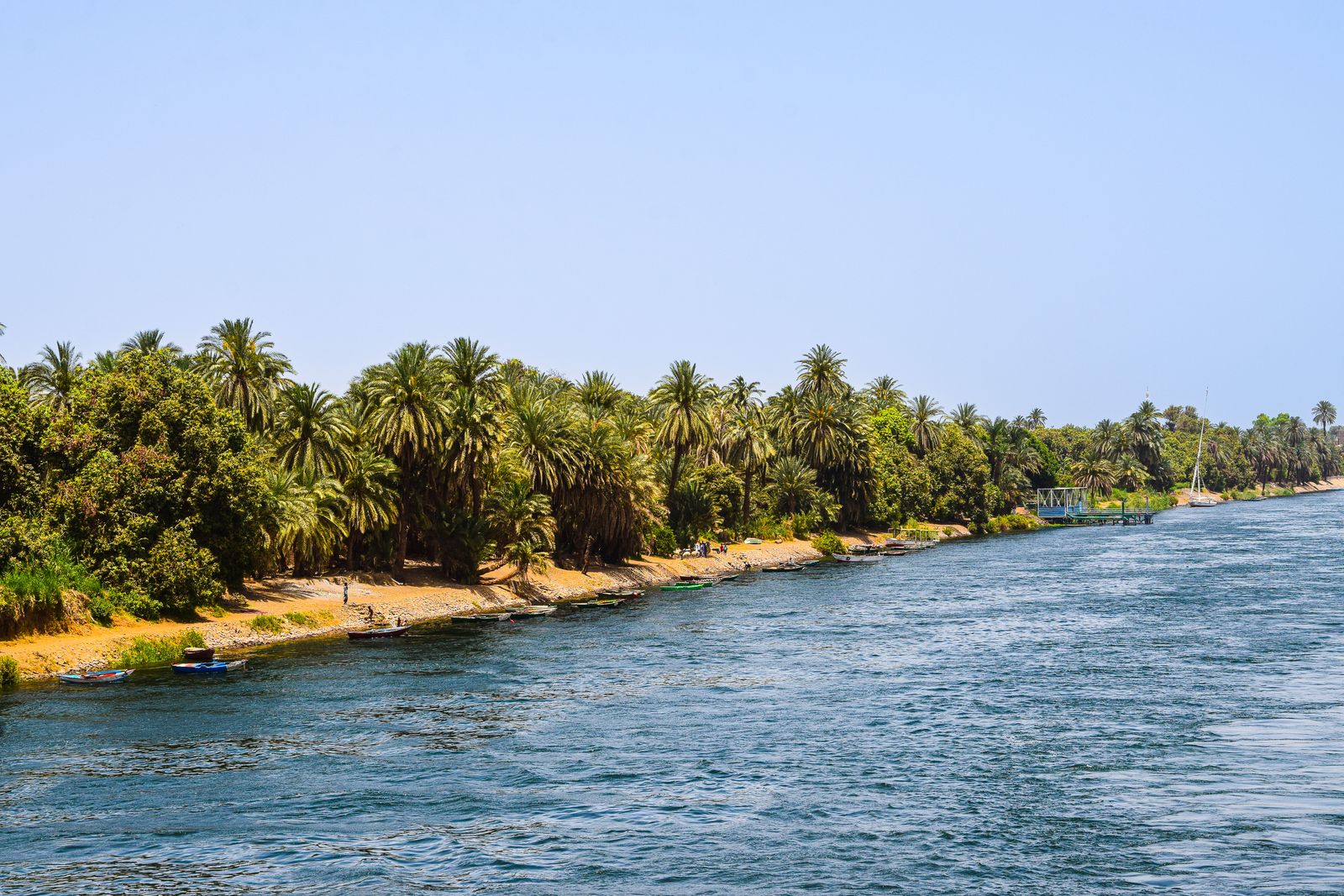 Cairo Fayoum Luxor and Marsa Alam tour