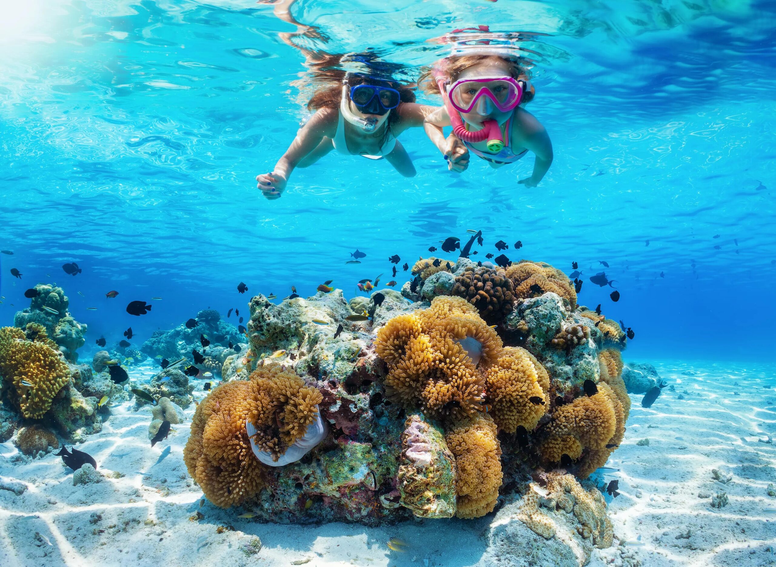Travelers enjoying Egypt's clear Red Sea waters and marine adventures