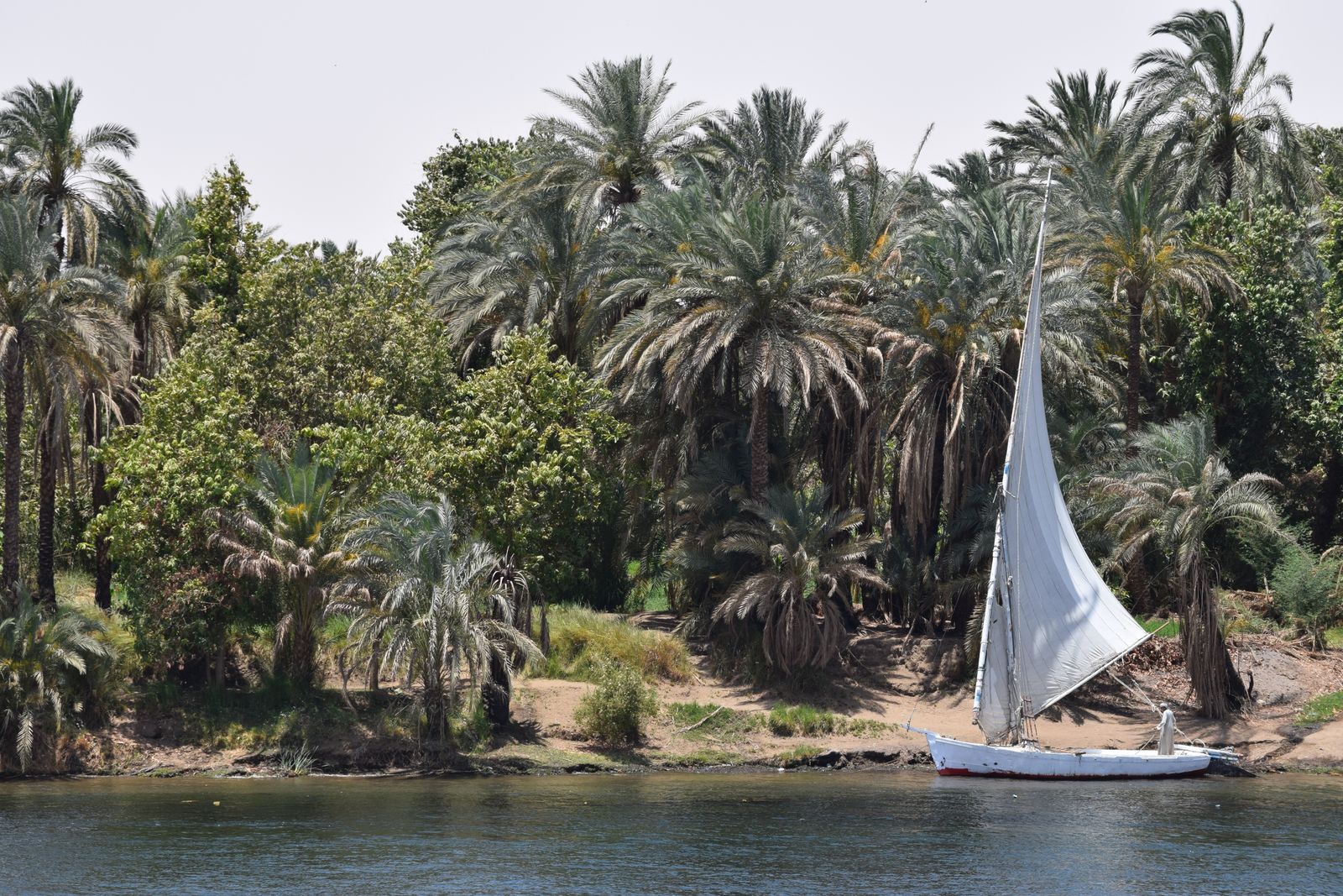 Women only Egypt tour and Dahabiya journey