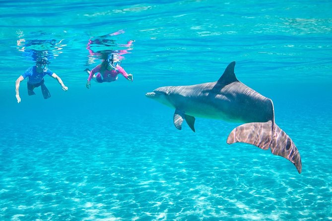 Dolphin House Hurghada