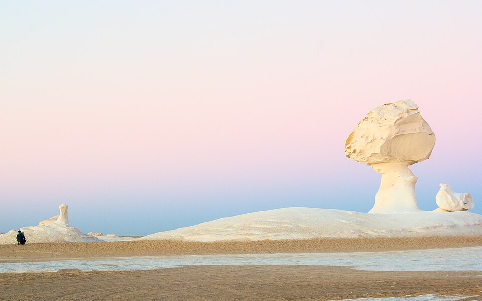 Green palms and desert landscape in Bahariya Oasis