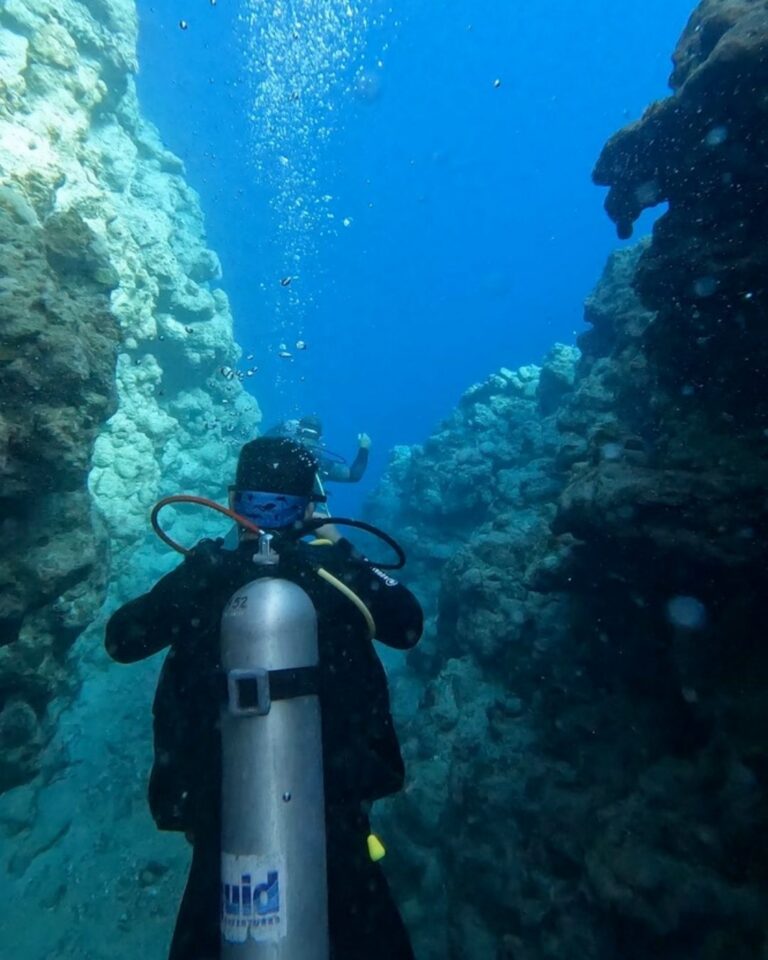 A diver discovering Dahab’s clear water and coral landscape