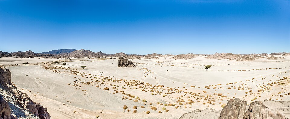 Panoramic protected desert landscape in Wadi El Gemal