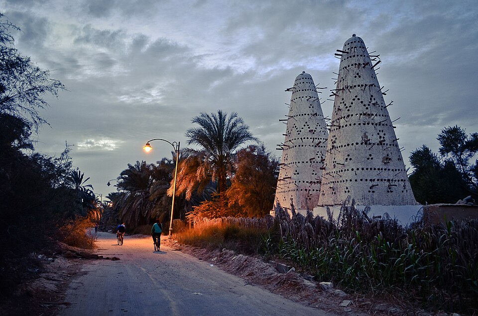 Palm groves and desert scenery across Siwa Oasis