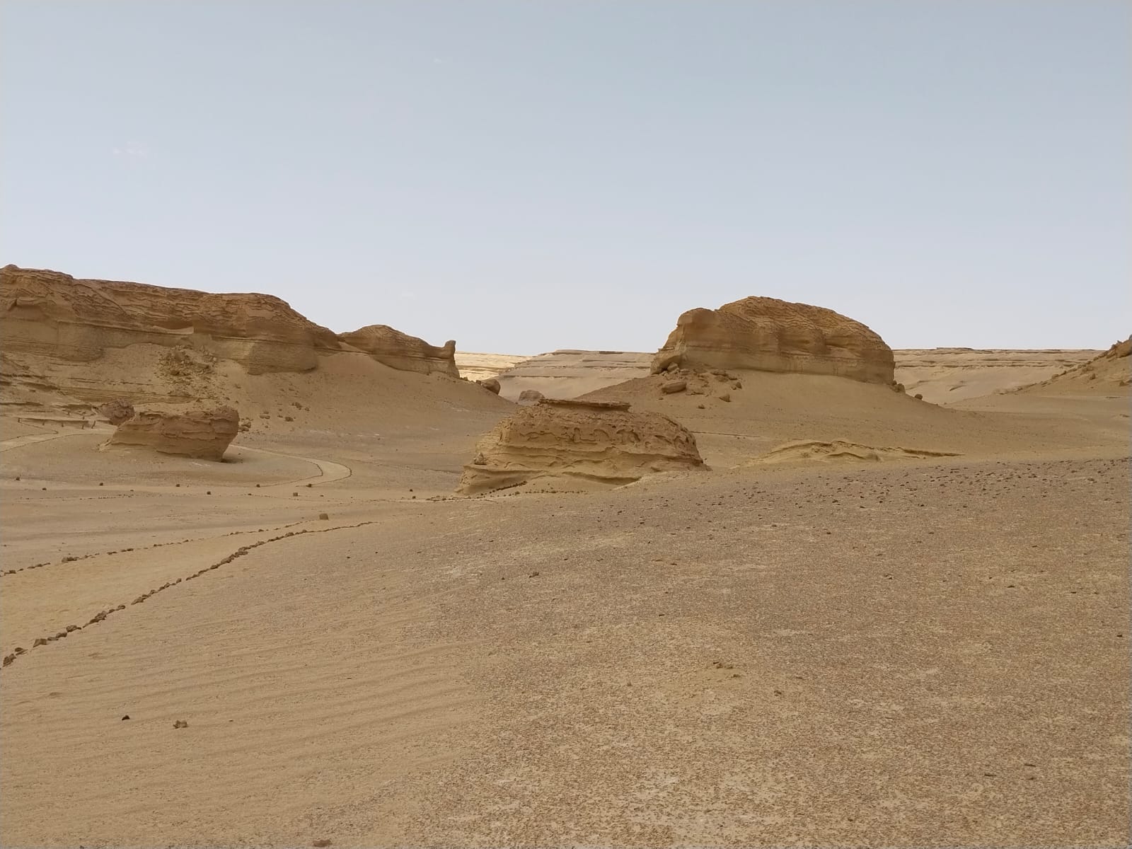 Fayoum desert field-learning experience