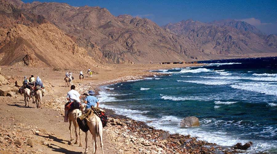Camel trail between the Sinai mountains and Red Sea coast