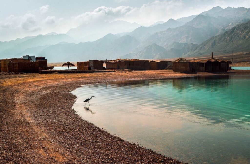 The quiet shoreline and mountain settlement of Abu Galum